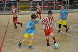 Champions'2014241222SPORTvicentino(@) (2)