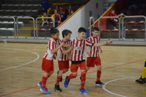 Champions'2014241222SPORTvicentino(@) (4)